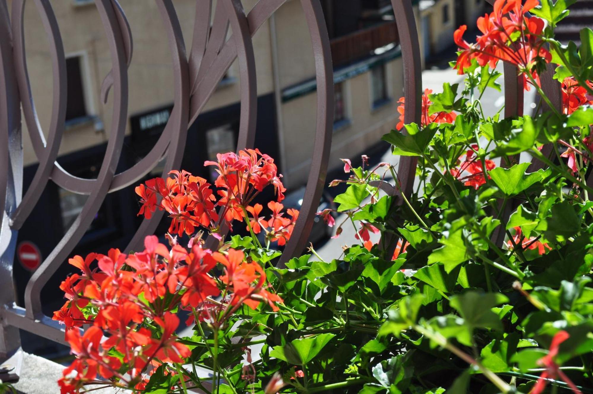 Thônes Hotel Et Appart'Hotel De L'Hermitage מראה חיצוני תמונה